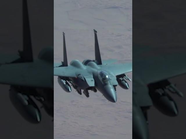 America's Accidental Masterpiece - How Fear Built The Perfect Fighter!