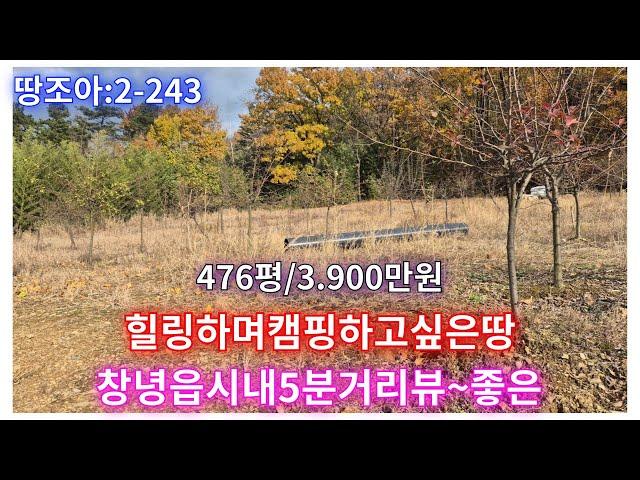 땅조아추천:2-243] 창녕읍인근 5분거리 뒷동산아래 뷰~멋진 476평 3900만원