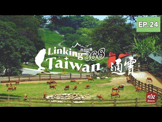 【苗栗通霄】EP24 完整版｜Linking368Taiwan