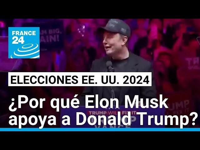 EE. UU.: las posibles motivaciones de Elon Musk al apoyar activamente la campaña de Trump