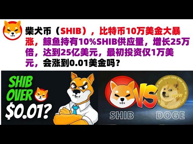 柴犬币（SHIB），比特币10万美金大暴涨，鲸鱼持有10%SHIB供应量，增长25万倍，达到25亿美元，最初投资仅1万美元，会涨到0.01美金吗？shib币|柴犬币|屎币行情分析！