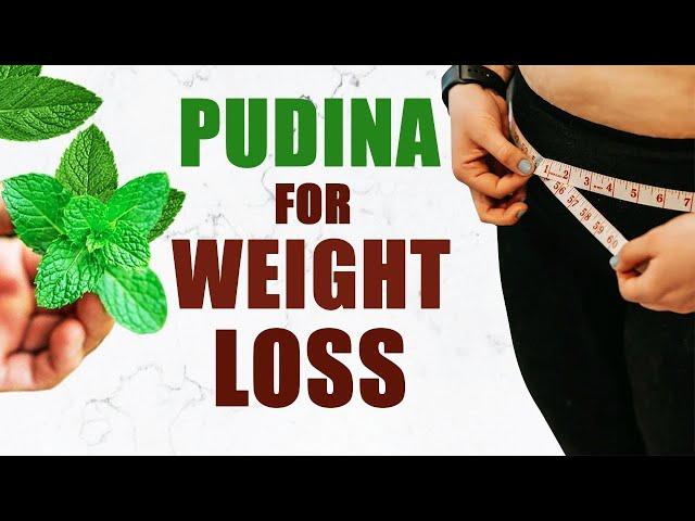 Mint Leave Benefits: Weight Loss To Relieving Stress, Know Pudina Is Beneficial For You