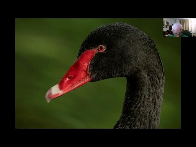 Marion Audubon Society Presentation - Incredible Birds 2023  by Leroy Simon