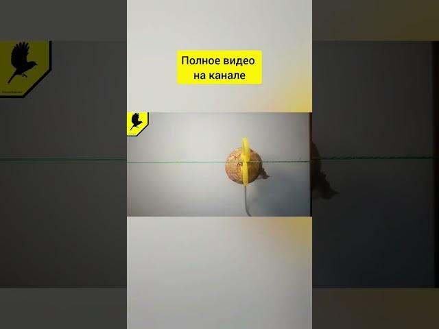 Самоделки для рыбалки #diyfishing #diy #fishing #нарыбалке #рыбалка2023 #прорыбалку #узлыдлярыбалки