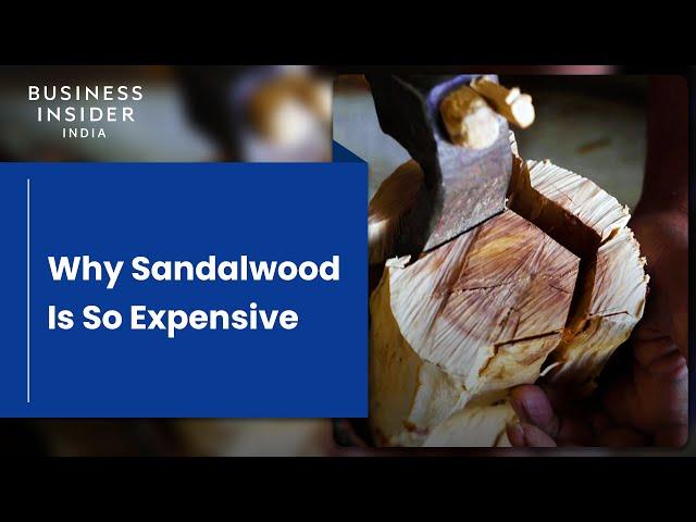 Why Sandalwood Is So Expensive | So Expensive