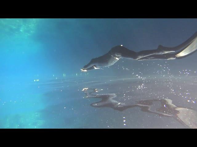 Freediving - upside down Nicolo @Apneazen GOZO 8.2019