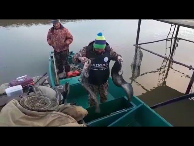 База отдыха в Астрахани "Тортуга"