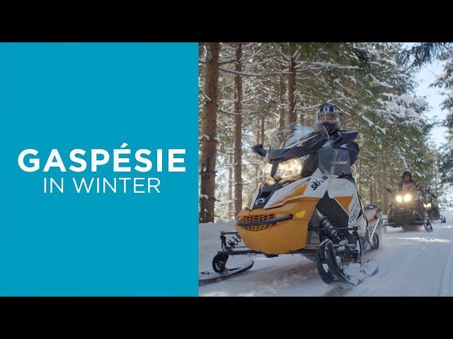 Snowmobiling in Gaspésie | Simply Extraordinary.