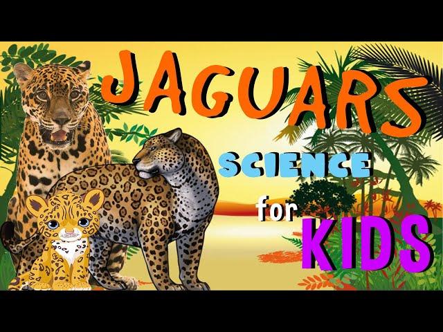 Jaguars | Science for Kids