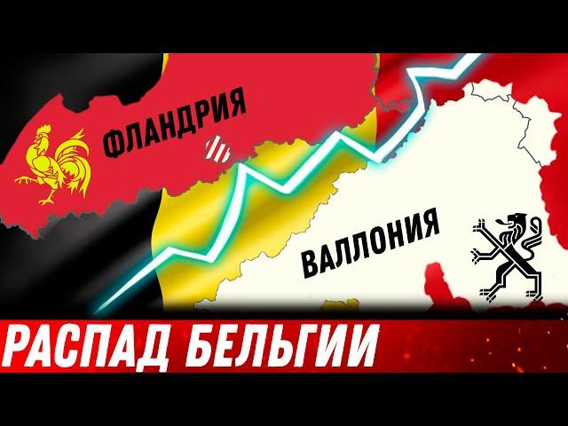 Развод по-бельгийски: Валлония и Фландрия хотят отделиться