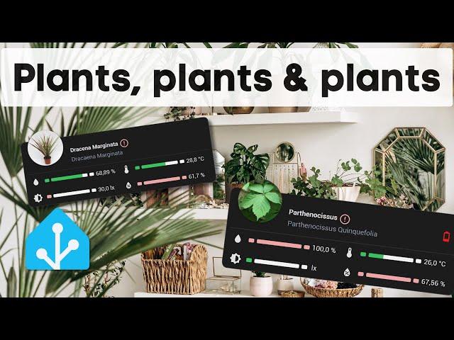 Opent Plantbook integration for Home Assistant to manage your flowers