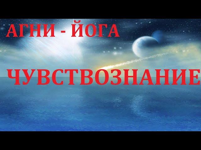 ЧУВСТВОЗНАНИЕ.   17.11.2021.