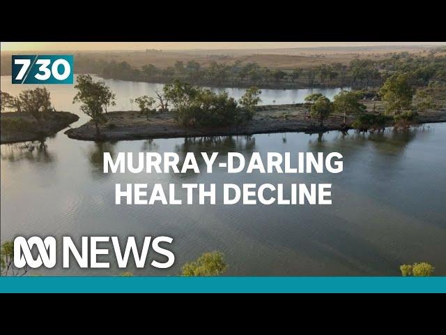 Battles brewing over the Murray-Darling Basin Plan | 7.30