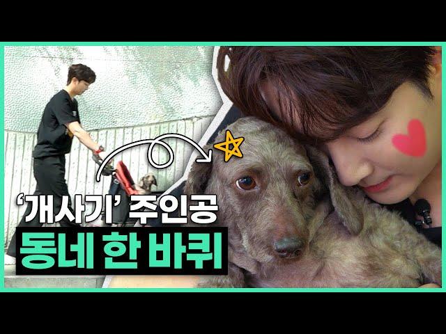 A Stroll Around Hyungjun Kim's Neighborhood Dog Scam Truth| Neighborhood Bro Jjun EP.14