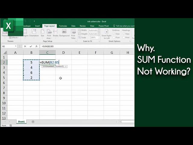 Excel SUM Function Not Working?