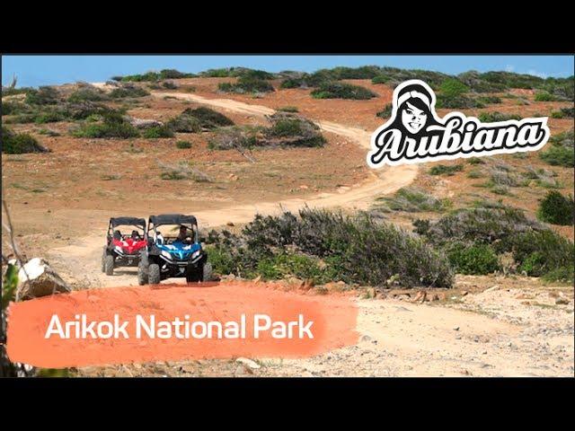 ARIKOK NATIONAL PARK | Arubiana UTV & Buggy rental in Aruba