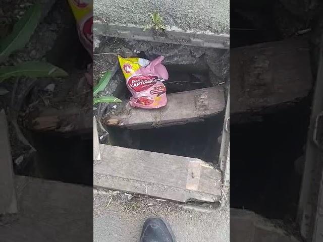 Проход в параллельную реальность на остановке. Прохладный. КБР