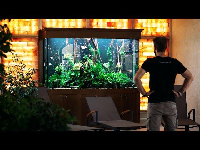 The 1200 Liter Masterpiece with ANGELFISH | Monday Maintenance Movies