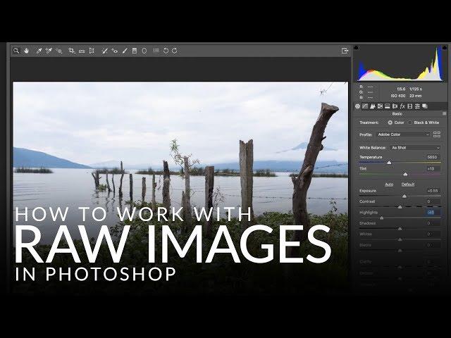 How to Work with RAW Images in Photoshop