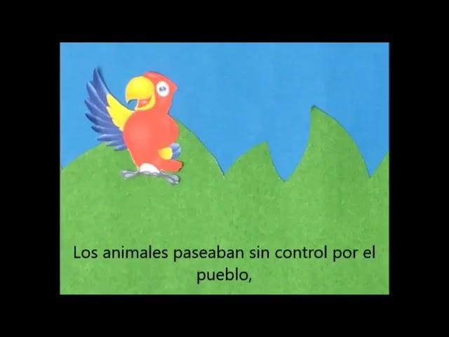 Opinión animalaica