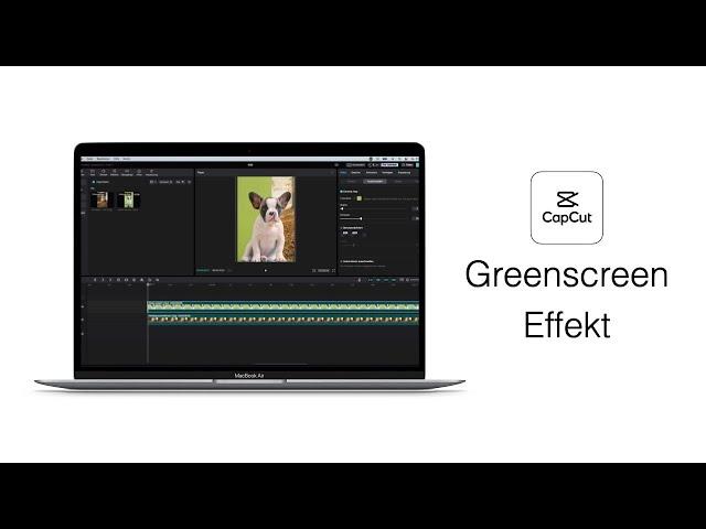 CapCut Green screen Tutorial (Deutsch) – Einfach erklärt! | CapCut für PC und Mac