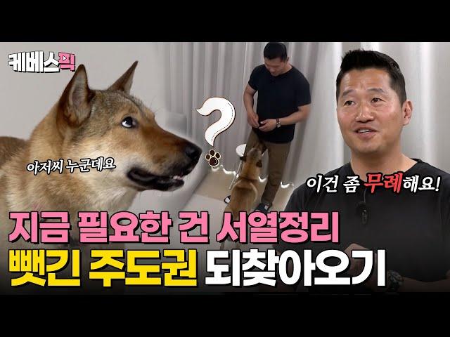 [#개는훌륭하다] 서열이 중요한 반려견과 약한 보호자! 뒤집힌 서열을 바로잡기 위한 '진짜' 블로킹 훈련 ｜KBS 240506 방송