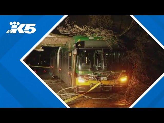 Tree crashes onto Metro bus in Wedgewood