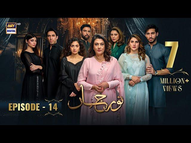 Noor Jahan Episode 14 | 12 July 2024  (English Subtitles) ARY Digital Drama