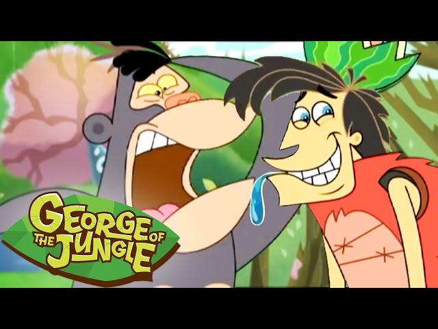 George King of The Beetles?! 🪲 | George of the Jungle | 1 Hour Compilation | Cartoons For Kids