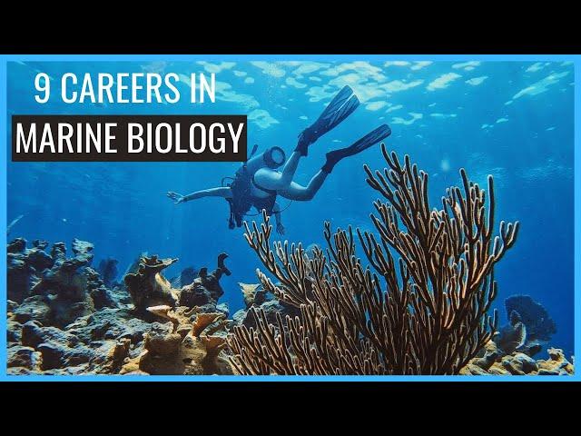 9 Careers in Marine Biology You Should Know About // Careers in Biology