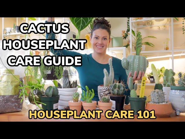 Best Cacti Care Tips - Cactus Watering, Lighting, Repotting, Soil, Fertilizing - Houseplant Care 101