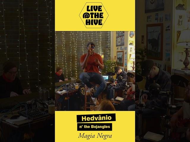 Magia negra - Live at the Hive - Hedvanio and the Bojangles