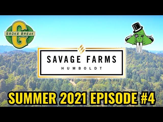 Savage Farms Summer 2021 Episode #4. Ettersburg, Humboldt County USA.