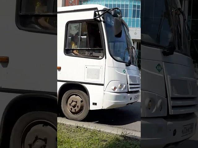 ПАЗ 3204 Г.Курган Маршрут 45 #пазик #россия #автобус #курган #нашараша