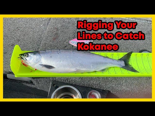 Rigging your Kokanee Lure and Dodger Basics