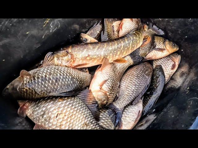 Fishing for grabs from a boat. HOORAY IT'S STARTED! Fishing in liquid water or fishing in Siberia.