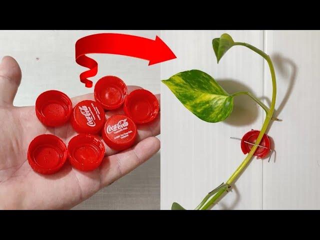 How to make a potus leaf clip with a plastic bottle cap/gardening idea