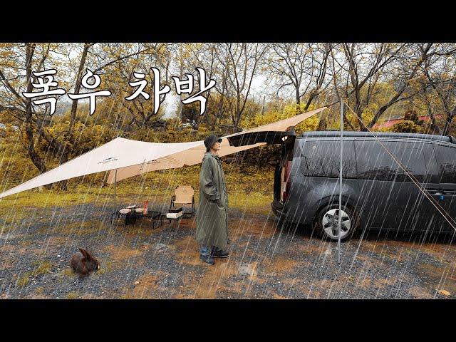 Solo Camping in Heavy rain with Relaxing in the Car..
