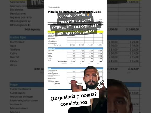 tabla de Excel personalizada  (ingresos - gastos)  PERFECTA para tomar el CONTROL de tus FINANZAS