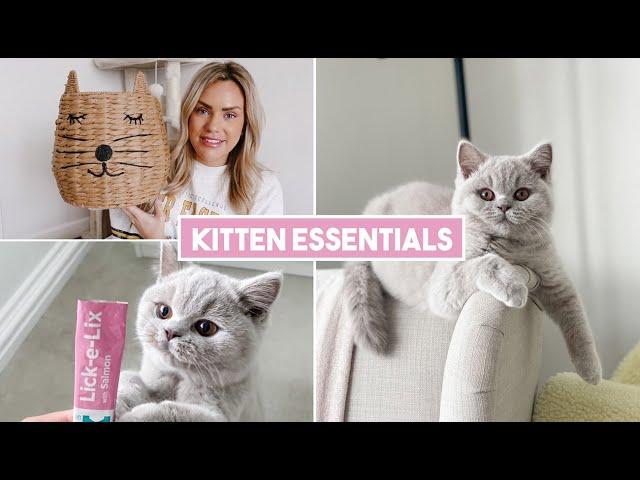 HUGE KITTEN HAUL, PREPARING FOR OUR BRITISH SHORTHAIR KITTEN  WHAT TO BUY AND WHAT WE USE THE MOST