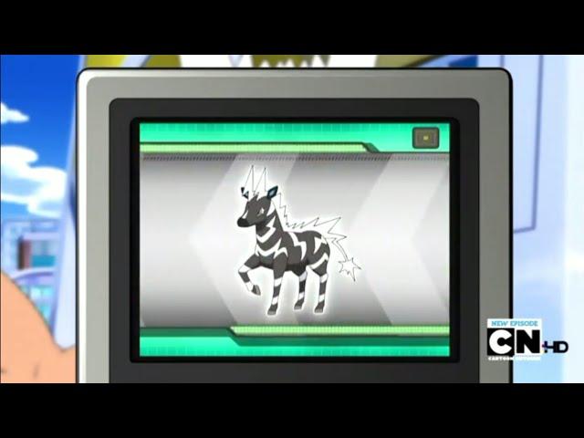 Zebstrika Pokédex Entries..wmv