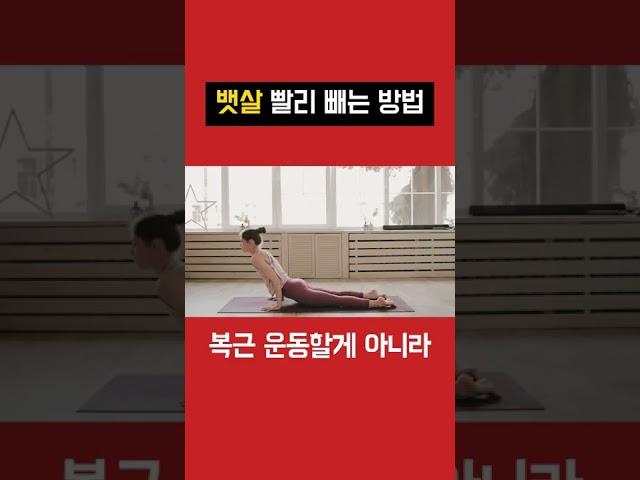 뱃살 빼는 법 ”뱃살 빼고 싶다면 복근운동이 아니라 이걸 하세요!”