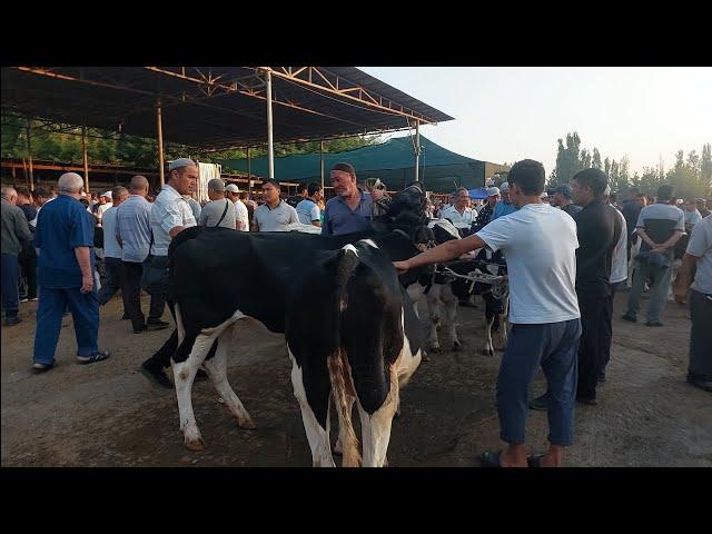 Qoqon mol bozori ģunajinlar VA sigirlar narhlari bilan tanishing 24.07.2024yil