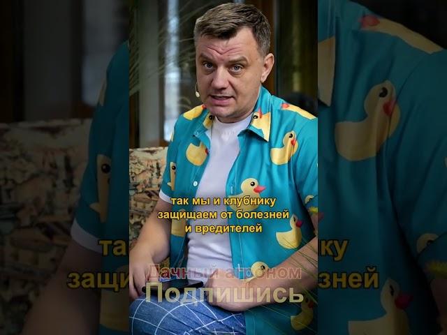 ЗАПИШИ! Баковая смесь для клубники ВЕДРАМИ! Дачный агроном