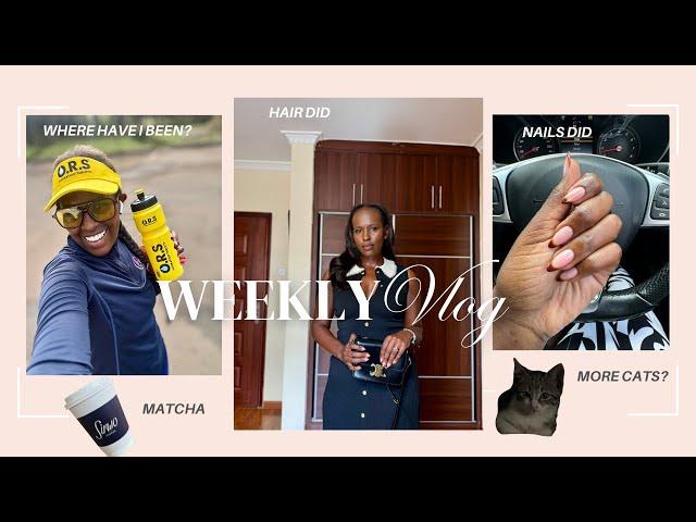 WEEKLY VLOG |where have I been| Life lately | Nelly M