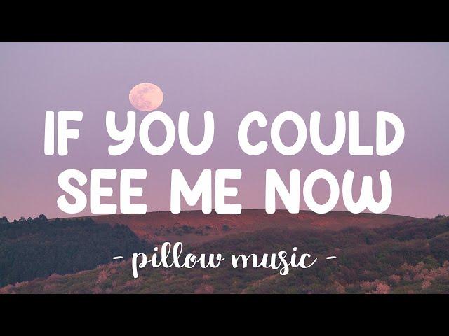 If You Could See Me Now - The Script (Lyrics) 