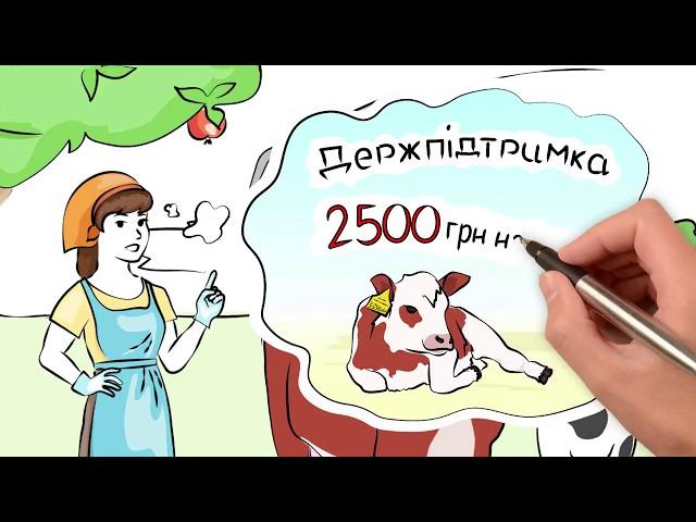 Як отримати 2500 гривень на теля - Міністерство аграрної політики та продовольства України