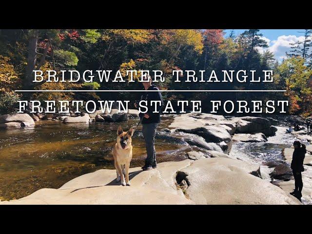 Bridgewater Triangle /Freetown State Forest