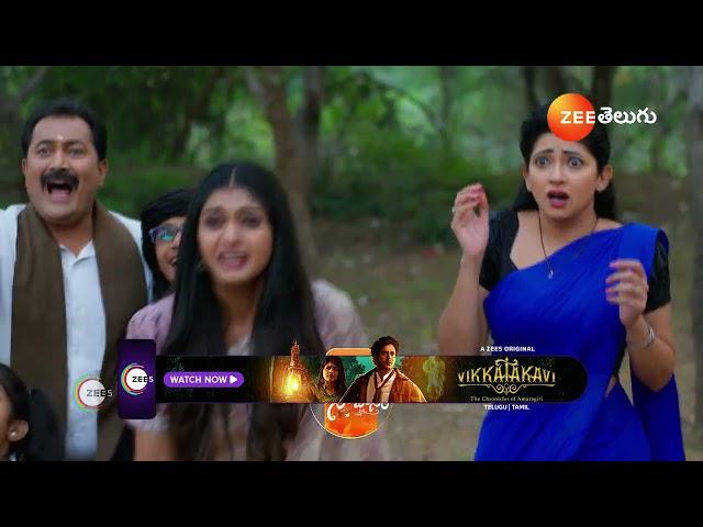 Nindu Noorella Saavasam | Ep - 430 | Preview | Dec 12 2024 | Zee Telugu