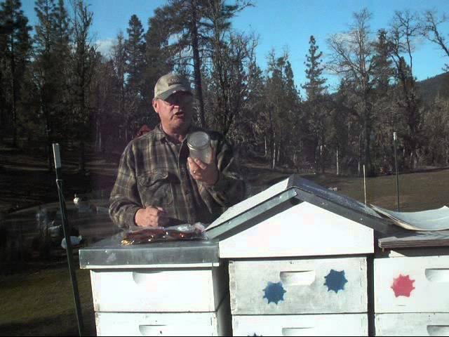 Setting Up Beekeeping for beginners at Pine Meadows Hobby Farm